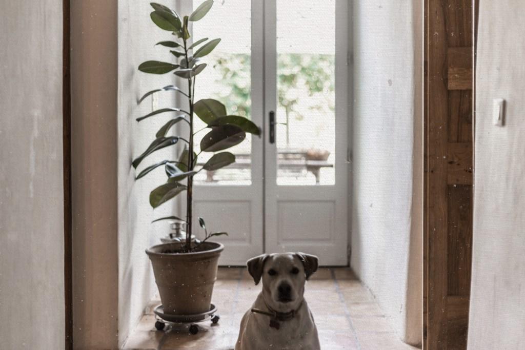 Residence Crone Castillon-en-Couserans 외부 사진